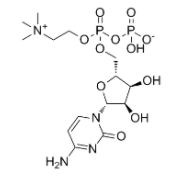 シチコリン粉末 987-78-0 原料 白色粉末 HPLCによる純度検査 99%以上 C14H26N4O11P2 <span class=keywords><strong>CDP</strong></span>コリン - Product Image 3