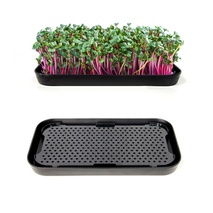 Hydroponics Organic Broccoli Radish Growing Kit Bandejas Microgreen Trays With Holes