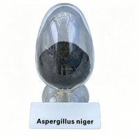 Poudre de spores d'Aspergillus Niger 5 milliards UFC/g Enzymes de qualité alimentaire Stimule la digestion Nutrition Compatibles avec les aliments à haute humidité pour le bétail