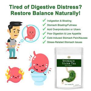 Thé aux herbes naturelles biologiques pour réchauffer l'estomac, favoriser la santé digestive et soulager les inconforts gastriques - Product Image 4