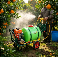 Pulvérisateur agricole électrique à essence haute pression 100L/160L, type chariot, pompe haute productivité pour l'arrosage des fermes