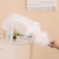 Plumes d'autruche blanches en gros de 15-75 cm pour la décoration de fêtes, mariages, carnavals, festivals, et les projets DIY d'artisanat (Plumes d'autruche)