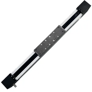 JTG80 Linear Belt Module with 3m/s speed stroke 10m heavy load 80-100kg for high quality Linear Actuator