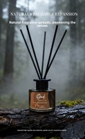 120ml bouteille en verre décorative de luxe en gros bricolage longue durée sans phtalate diffuseur de roseau sans alcool maison Air Freshern