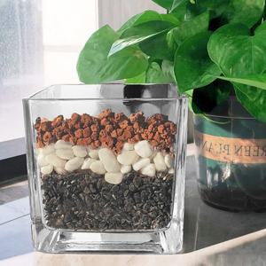 Muestra gratis Lava roja para chimenea Pozo de fuego <span class=keywords><strong>Suculenta</strong></span> Acuario Pecera Barbacoa Cactus Bonsai Jardín Paisajismo Ecológico - Product Image 3