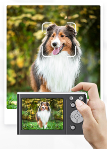 Cámara Digital 4K 50MP <span class=keywords><strong>con</strong></span> Autoenfoque, Pantalla <span class=keywords><strong>de</strong></span> 2.8 Pulgadas, <span class=keywords><strong>Zoom</strong></span> Óptico 7.1x-16x, Luz <span class=keywords><strong>de</strong></span> Relleno, Antivibración, Cámara Compacta OEM ODM - Product Image 5