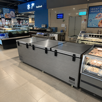 Congélateur coffre commercial horizontal R290 à froid direct avec affichage numérique pour la restauration