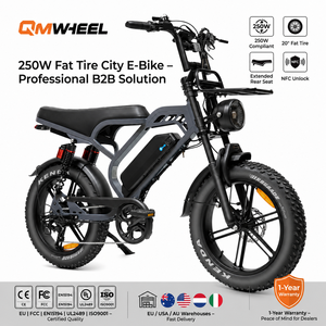 QMHEEL V20Limited 48V Electric Mountain Bike Electric City Bike Lithium <b>Battery</b> Shimano Speed Gear for Tour Rental B2B Supply - Product Image 1