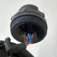 Harnais de câblage personnalisé et faisceau de câbles relais Molex