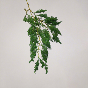 Planta Colgante de Pared para Decoración del Hogar, Oficina, Bodas, Decoración del Hogar, Plantas Artificiales, Flores Artificiales, Helecho Artificial - Product Image 2