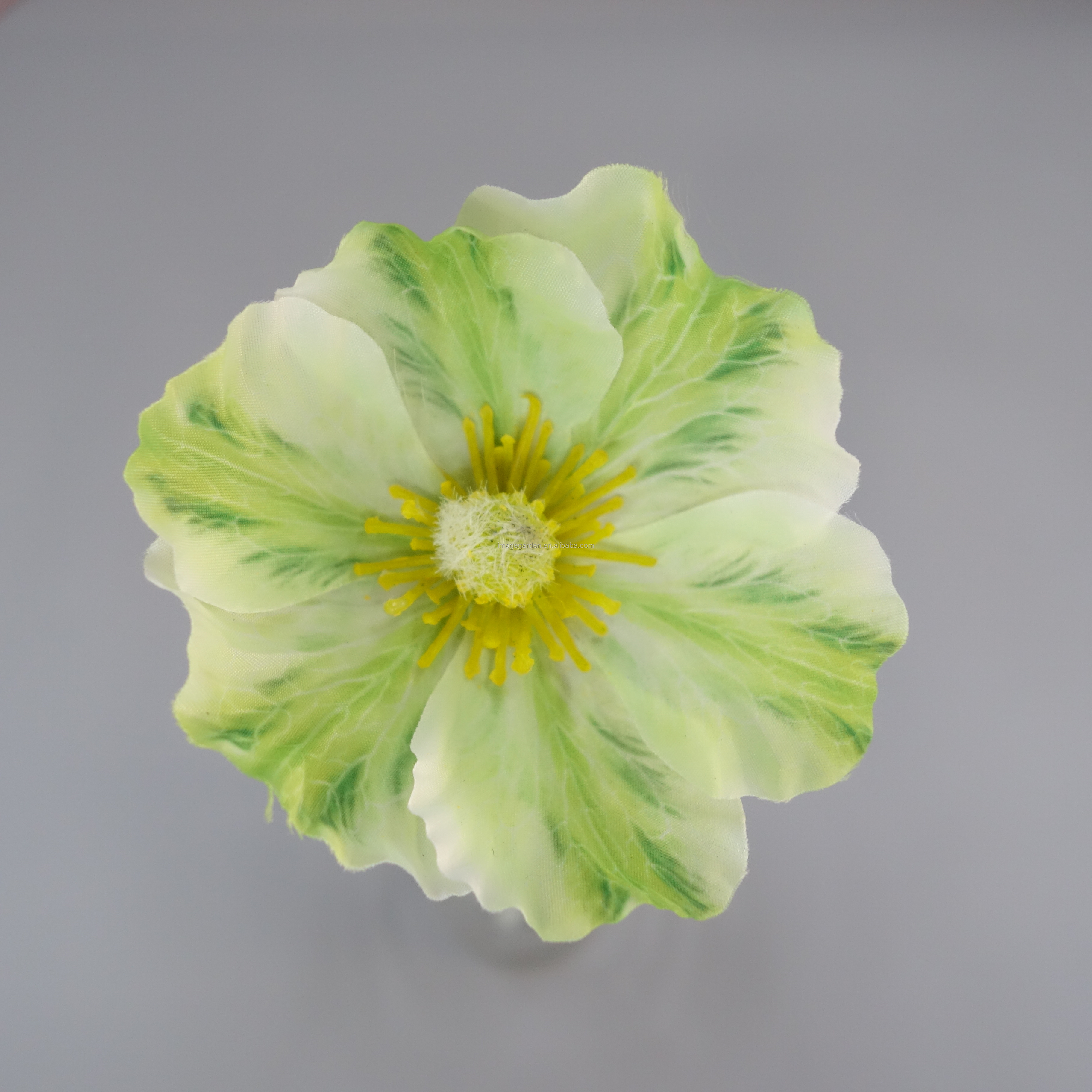 Chartreuse