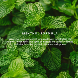 Roll-on Pereda Nyeri Alami OEM Kekuatan Profesional dengan Menthol untuk Nyeri Otot dan Sendi Lutut, Punggung, Leher, Pereda Nyeri Cepat dan Dingin - Product Image 3