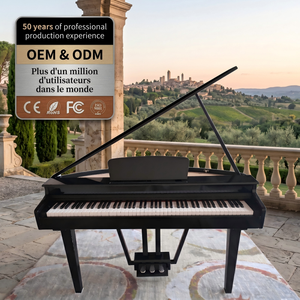AIERKE 800 digitale Standard tastiera 88 tasti martello azione per adulti e principianti prodotto avanzato <span class=keywords><strong>pianoforte</strong></span> - Product Image 1