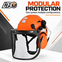 Casque de sécurité pour tronçonneuse forestière HBC avec écran facial en maille métallique, casque de protection pour arboriculteur, abattage d'arbres, coupe de bois