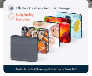 High-Quality Outdoor <b>Cooler</b> Box with PU Foam Insulation for Drinks and Fishing 16L - Product Image 4