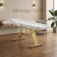 Lit de spa professionnel en cuir PU de luxe, réglable manuellement, pour salon de beauté, avec accoudoirs amovibles
