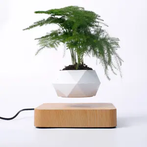 Drop Shipping New Invention Best Small Floating Bonsai Pot Magnetic Levitating Flower Plastic Pots for Plants