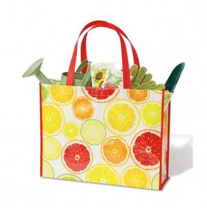 Sedex Audit Factory Ventas directas Precio razonable Bolsa no tejida al por mayor - Product Image 2