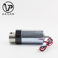 Pompe à engrenages miniature en acier inoxydable DC24V 37W, 2L/min, 3 bars, fonctionnement continu pour le traitement de l'eau et le transfert de fluides médicaux