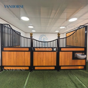 Panneaux de stalle de chevaux de qualité supérieure Kits d'écuries modulaires Façades de grange durables Installations équestres professionnelles personnalisées pour granges à chevaux - Product Image 3