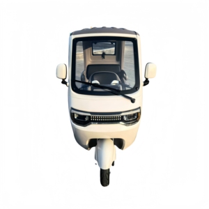 2025 Steel Passenger Tricycle 1000W Power 3 <b>Seat</b> Options 400kg Load Capacity 800W Motor 72V 48V 60V <b>Scooter</b> Ta - Product Image 2