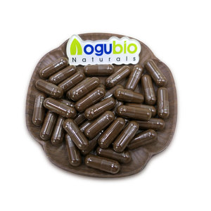 Saf <span class=keywords><strong>Chaga</strong></span> mantar özü kapsülleri-vahşi hasat Inonotus obobus - Product Image 3