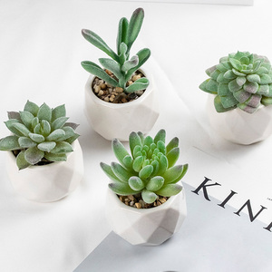 Décoration de maison plantes succulentes artificielles meubles de bureau accessoires de maison décoration de <span class=keywords><strong>jardin</strong></span> vase en céramique plantes succulentes <span class=keywords><strong>cadeau</strong></span> - Product Image 2