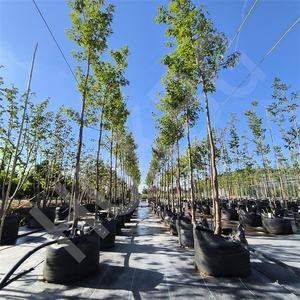 HOKBG directo de fábrica granja vivero maceta crecer bolsa árbol plántulas maceta para planta crecer bolsa jardín grande maceta para árbol - Product Image 4