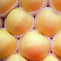 Gouden Delicious Appels Exportkwaliteit Verse Gele Appels Met Premium Verpakking Voor Internationale Kopers