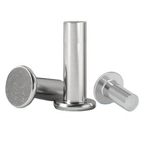 Remaches de cabeza plana sólida de acero inoxidable 304 al por mayor pasadores de posicionamiento de cabeza redonda Tipo de accionamiento remaches de cabeza redonda plana M2 M3 - Product Image 2