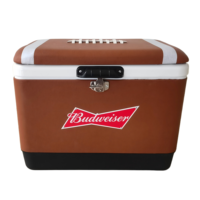 Nuovo Secchio Termico in Metallo da 30L/40L/50L con Cuscino Integrato - Mantiene il Freddo - Ideale per il Campeggio e l'Uso Esterno
