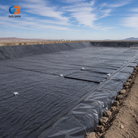Geomembrana Lisa de HDPE de 2 mm para Estanques, Revestimiento Impermeable de Plástico de 1 mm para Presas, Geomembrana de 0.5 mm y 500 Micras para Estanques de Peces