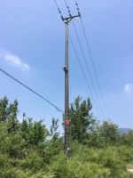 Poteau utilitaire en fibre de verre de 10 m, poteau de distribution composite pour les projets de distribution d'énergie aérienne