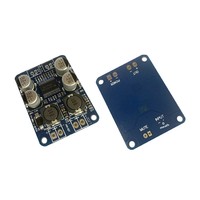 Module amplificateur audio numérique mono 60W DC 12V-24V avec puce originale TPA3110 TPA3118 28/32 broches