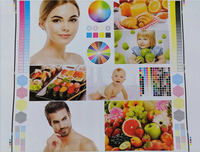 2 4 6 couleurs carton papier tasse faire boîte emballage pp tissé sac en plastique flexographie flexgraphic impression machine prix