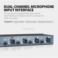 Suppressor de realimentación de doble canal para dj, controlador profesional para escenario al aire libre, FBX2420
