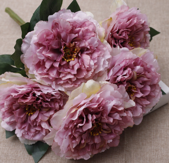 สีม่วงเข้ม