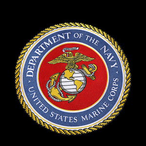 Tùy chỉnh thực hiện chất lượng cao 3D thêu bỏ qua biên giới sắt trên sự ủng hộ 100% đầy đủ thêu vá - Product Image 4