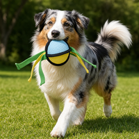 Jouet à mâcher classique moderne en tissu latex pour chien, jouet couineur pour nettoyer les dents, jouet de chasse pour chiens de petite et moyenne taille