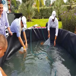 50X100 большой резиновый недорогой предварительно сформированный подкладка для пруда для аквариума в Сингапуре
