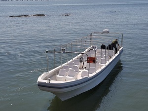Yate <span class=keywords><strong>de</strong></span> Pesca Grandsea <span class=keywords><strong>de</strong></span> 35 Pies/11 m con Capacidad para 20 <span class=keywords><strong>Pasajeros</strong></span> <span class=keywords><strong>de</strong></span> Fibra <span class=keywords><strong>de</strong></span> Vidrio con Motor Fuera <span class=keywords><strong>de</strong></span> Borda, Barco Pequeño en Venta - Product Image 3