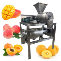 Tamarinde Pulper Mango En Pulpmachine Professionele Automatische Schilfers