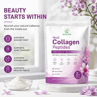 Poudre de peptides de collagène multiples OEM avec biotine, vitamine C, acide hyaluronique, types I, II, III, V, X – Antioxydant pour la beauté de la peau et des articulations chez l'adulte