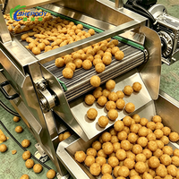 Chaîne de production Shepody pour coupes de poulet industrielles, bâtonnets de pâte frits et tranches d'aubergine – Capacité 500 kg/h – Friteuse à galettes de poulet
