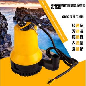 <span class=keywords><strong>Pompe</strong></span> de transfert d'eau à arbre en acier inoxydable submersible 12V Bil Yacht Saloon <span class=keywords><strong>pompe</strong></span> de douche de voiture pour applications de pêche en <span class=keywords><strong>bateau</strong></span> marin - Product Image 4