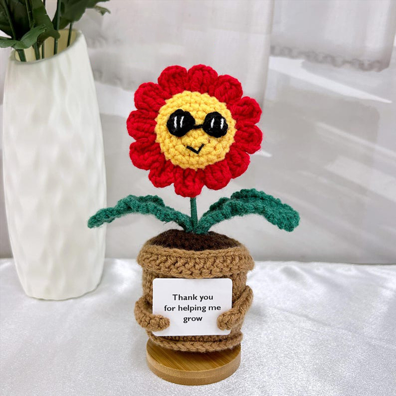 plante de marguerites à lunettes rouges (sans base)