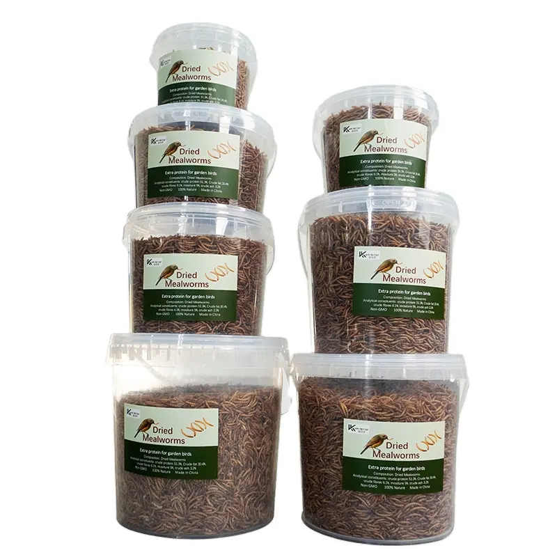 Alimentos para animais de estimação com alto teor de proteínas, ração para pássaros, lanches para hamster, larvas amarelas secas, 100g, 200g, 500g, por atacado