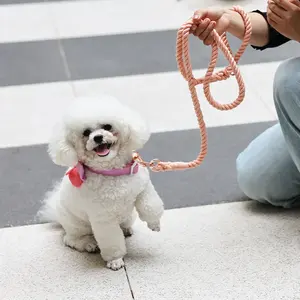Chien corde laisses réglable en gros concepteur personnalisé mains libres glissement coton corde chien laisse