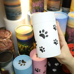 Động Vật Vật Nuôi Mèo Con Chó Dấu Chân Phân Hủy Sinh Học Hộp Bao Bì Giấy, Hội Đồng Quản Trị, Đốt Tro Lỏng Ống Xương Hộp Tro - Product Image 1