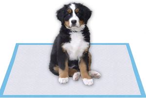 En gros, Alèses d'apprentissage jetables XL 60x90 pour chiots, en fibres absorbantes d'urine de chien, OEM - Product Image 2